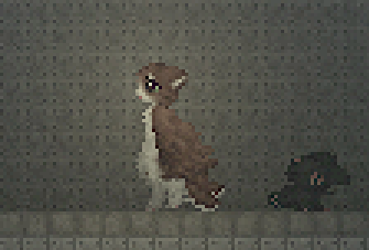 meowl.zip