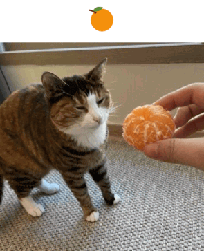 Orange.zip