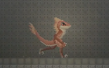 DDDVelociraptor.zip