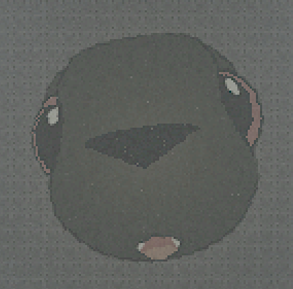 Big Head Expie.zip